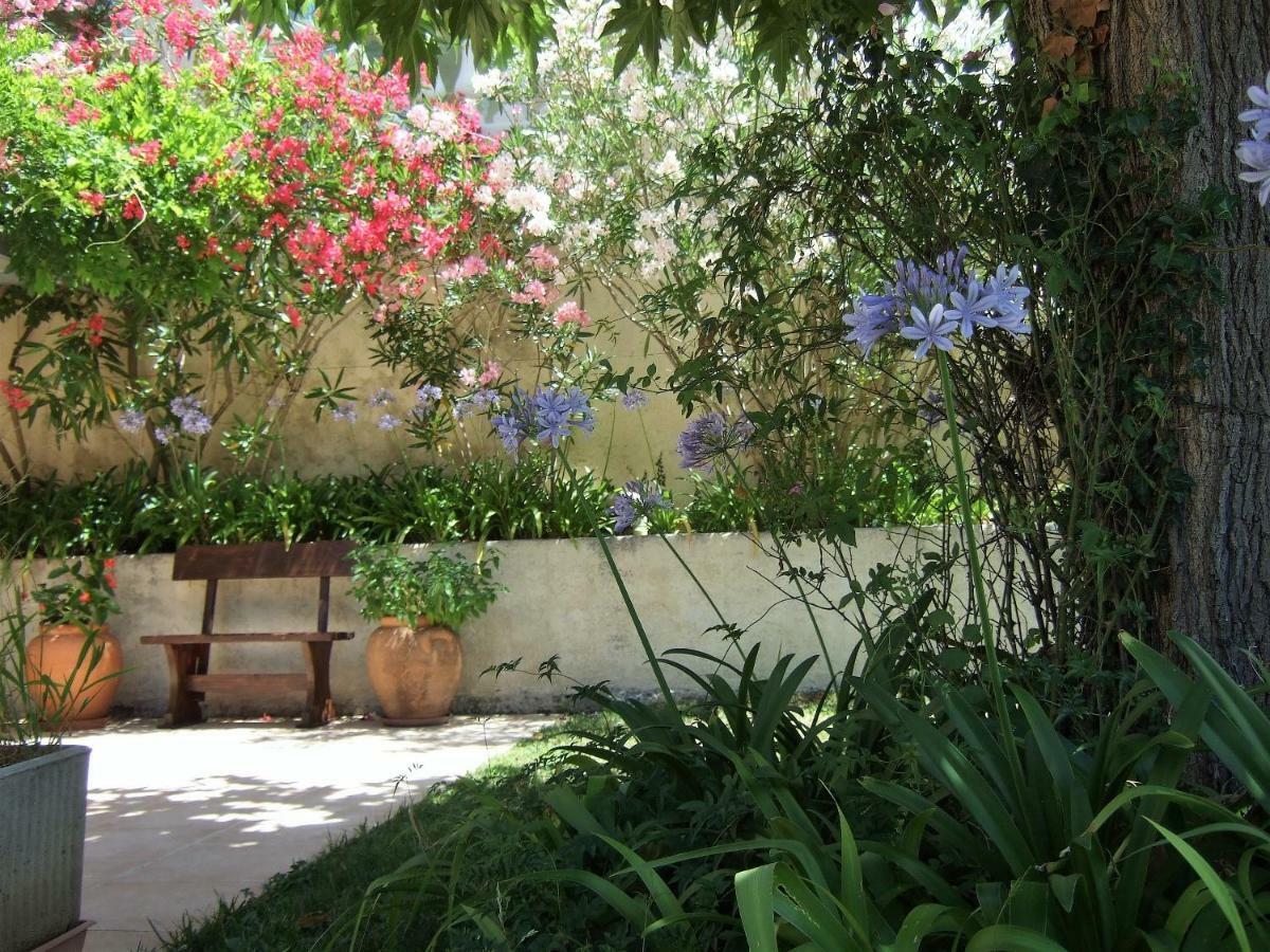 Au Vallon Rouge Saint-Paul-de-Vence Luaran gambar